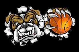 https://img.heibaitiyuz.com.cn/img/basketball/team/22024baa83ba58349662656ac0ced9c6.png