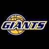 https://img.heibaitiyuz.com.cn/img/basketball/team/3b4ec30e0bc04a014b6f5290bc485e49.png