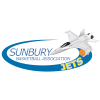 https://img.heibaitiyuz.com.cn/img/basketball/team/3c99fe4a0e23df246ae405140d32c1b9.png