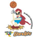 https://img.heibaitiyuz.com.cn/img/basketball/team/94924f5dc023c67962792990c924e9ec.png