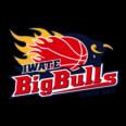 https://img.heibaitiyuz.com.cn/img/basketball/team/bcb478f91fa9177647848bc08ccc209c.png