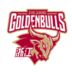 https://img.heibaitiyuz.com.cn/img/basketball/team/d1d77f07287fe840a7e77459e5bd1bfc.png