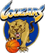 https://img.heibaitiyuz.com.cn/img/basketball/team/dfbc8a7d044c44b6986f4490a735959b.gif
