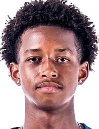 https://img.heibaitiyuz.com.cn/img/football/player/0678f02075e3d5e8c48f6e8c18a23239.png
