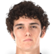 https://img.heibaitiyuz.com.cn/img/football/player/0acbdcc17dde12ecffff4417f9122467.png