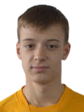 https://img.heibaitiyuz.com.cn/img/football/player/12f09bbfdcf6c86a703655091c38d646.png