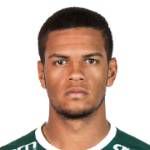 https://img.heibaitiyuz.com.cn/img/football/player/1495e63fc811824f02fd7fba9d254b1f.png