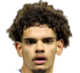 https://img.heibaitiyuz.com.cn/img/football/player/19198e45f81a0add4651fdb6197a3d8c.png