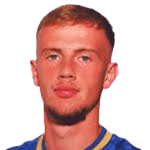 https://img.heibaitiyuz.com.cn/img/football/player/1ea502df31a0fd652a9f6c4223713521.png