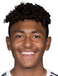 https://img.heibaitiyuz.com.cn/img/football/player/2543a4c725f8ca8407db30ac9c7ad8ac.jpg