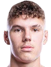 https://img.heibaitiyuz.com.cn/img/football/player/2a633ecc54fe1de901614cfd31bc7359.png
