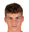 https://img.heibaitiyuz.com.cn/img/football/player/33703aacde33eed86b2e4752fd675d6e.png