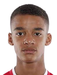 https://img.heibaitiyuz.com.cn/img/football/player/36ffb830d16dba074b96e5c8c1a2608f.png