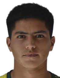 https://img.heibaitiyuz.com.cn/img/football/player/593ada0d7956416c62dcbb7289ee303b.png