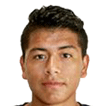 https://img.heibaitiyuz.com.cn/img/football/player/607359acdbb6325443fc84a31732e0d2.png