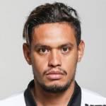 https://img.heibaitiyuz.com.cn/img/football/player/6f97099481d7ebc60e052cd198db3922.png