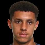 https://img.heibaitiyuz.com.cn/img/football/player/7146d0393153abfa110a1f8b9f9b4337.png
