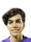 https://img.heibaitiyuz.com.cn/img/football/player/79c3a041737923f2795a82fbe6dd8fd1.png