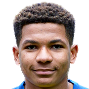 https://img.heibaitiyuz.com.cn/img/football/player/7d02f657976180027b8a966e84193e99.png