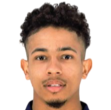https://img.heibaitiyuz.com.cn/img/football/player/84b8e450532ae3e44dbd020d457f322d.png