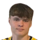 https://img.heibaitiyuz.com.cn/img/football/player/880111230830039566518578f2ef52b1.png