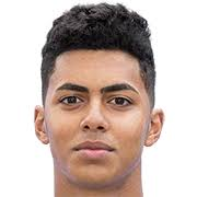 https://img.heibaitiyuz.com.cn/img/football/player/9adaf9924544d787371b8dbcf06ab8a8.jpg
