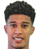 https://img.heibaitiyuz.com.cn/img/football/player/a6ea4c101369a75627e03b16910f3b6c.png