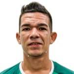https://img.heibaitiyuz.com.cn/img/football/player/aadde91b68688c2a0dc7d59624ad0c6b.png