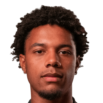 https://img.heibaitiyuz.com.cn/img/football/player/afe0d12610008af3f290c35ad789406f.png