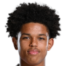 https://img.heibaitiyuz.com.cn/img/football/player/b1cbb457feed53714d2f8bca44423946.png