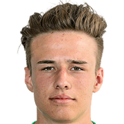 https://img.heibaitiyuz.com.cn/img/football/player/bd965371d9439dc381b0416915bd0ace.png