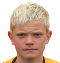 https://img.heibaitiyuz.com.cn/img/football/player/c48577738a9393283236f64b3f1370c4.png