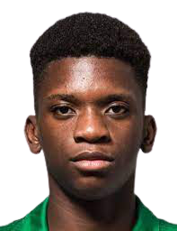 https://img.heibaitiyuz.com.cn/img/football/player/d12c801df7dd3513ce27f2b57bfc8357.png