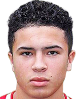 https://img.heibaitiyuz.com.cn/img/football/player/d95054a0e727f334463fc369b55f13a2.png