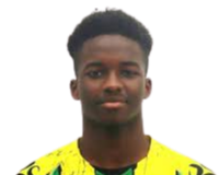 https://img.heibaitiyuz.com.cn/img/football/player/dc8c7cf096616f43ece6739ce55c48df.png