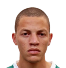 https://img.heibaitiyuz.com.cn/img/football/player/e8ede708a8928edf120fc0cbf6ceee1f.png