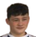 https://img.heibaitiyuz.com.cn/img/football/player/e907d41fb4fc3798f1e08649b2451dc7.png