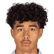https://img.heibaitiyuz.com.cn/img/football/player/f07b040db42157ac0f5955af9744f895.png