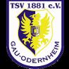 https://img.heibaitiyuz.com.cn/img/football/team/0425718c842cc1330a6507bdde3c1da4.png