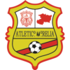 https://img.heibaitiyuz.com.cn/img/football/team/1cd995bdc2b652d31129d027afb27ed8.png