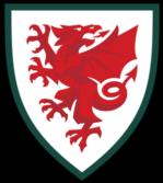 https://img.heibaitiyuz.com.cn/img/football/team/674b92c29159cc3a21b75a4484db38b6.png