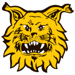 https://img.heibaitiyuz.com.cn/img/football/team/9f170a9ffc15b4141b790f4ff042cc51.png