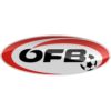 https://img.heibaitiyuz.com.cn/img/football/team/be70130b180875a576e98a5a33c8238a.png